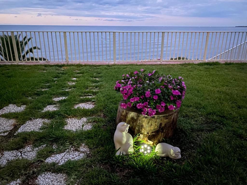 Villa Vela Augusta Buitenkant foto